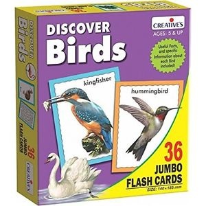 Discover Birds: Useful Facts, and specific Information about each Bird included (Ages: 5 & Up)
