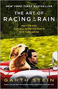 THE ART OF RACING IN THE RAIN