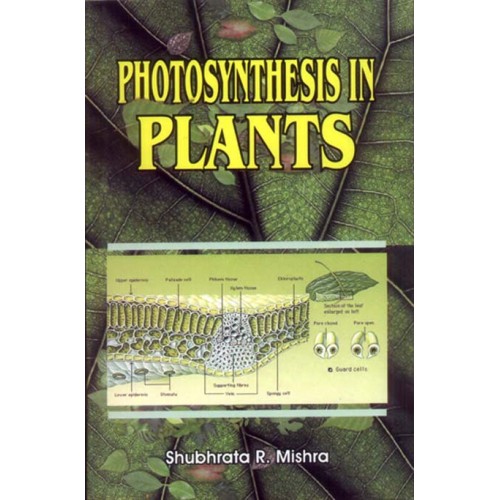 Photosynthesis in Plants