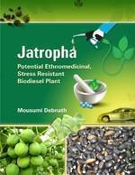 Jatropha: Potential Ethnomedicinal, Stress Resistant Biodiesel Plant