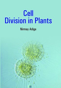 Cell Division In Plants
