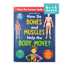 How the Human Body works! : How do Bones and Muscles help the body move? 