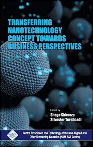 Transferring Nanotechnology Concept Towards Business Perspectives