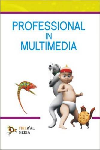 Professional in Multimedia