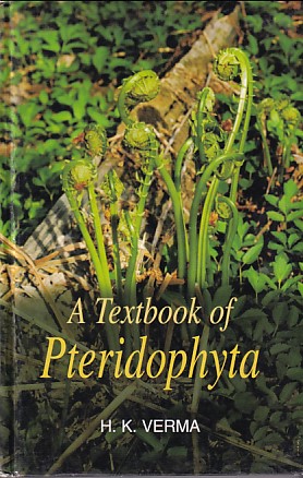 A TEXTBOOK OF PTERIDOPHYTA