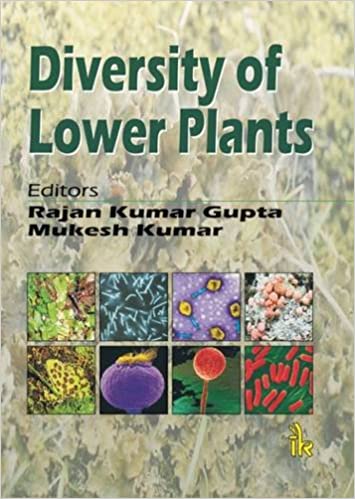 Diversity Of Lower Plants 