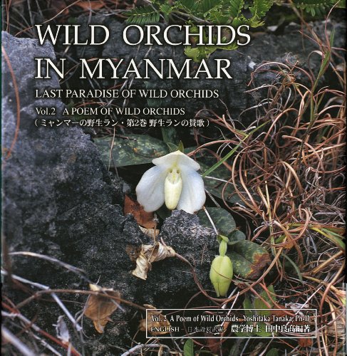 Wild Orchids in Myanmar : Last Paradise of Wild Orchids Vol.2