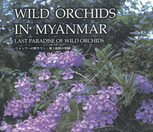 Wild Orchids in Myanmar : Last Paradise of Wild Orchids Vol.1