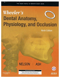 Wheeler's Dental Anatomy Physiology , and Occlusion 9th edition